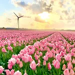Vakantiehuis Near Sint Maartenszee *