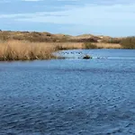 Near Sint Maartenszee *