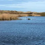Near Sint Maartenszee Sint Maartensvlotbrug