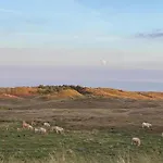 Near Sint Maartenszee *