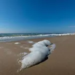 Near Sint Maartenszee Vakantiehuis