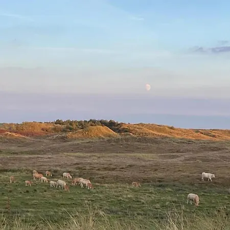 Near Sint Maartenszee *