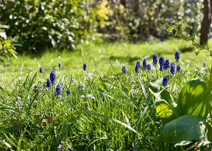 Near Sint Maartenszee 度假居