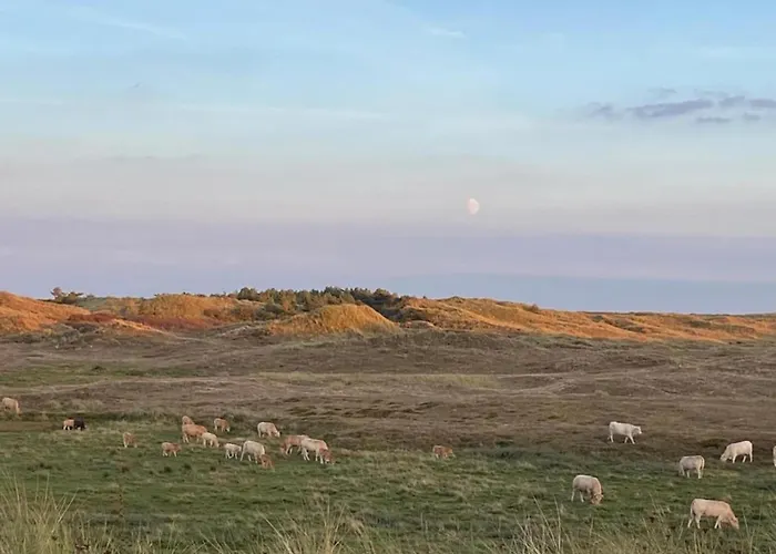 Near Sint Maartenszee *