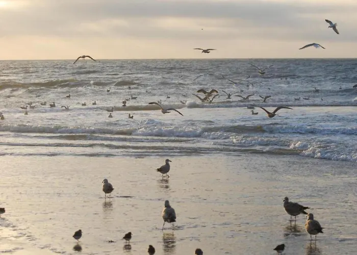 Near Sint Maartenszee * Sint Maartensvlotbrug