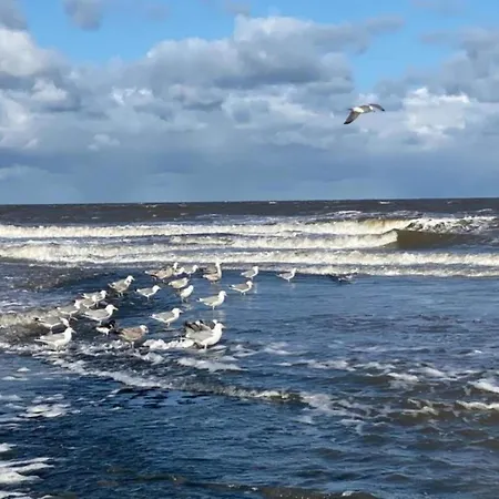 Holiday home Near Sint Maartenszee