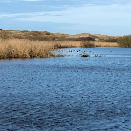 Near Sint Maartenszee *