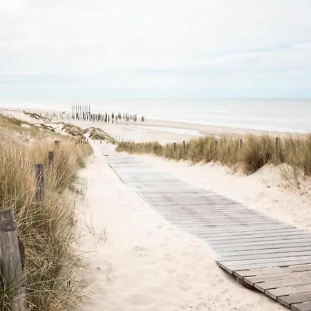 Near Sint Maartenszee *