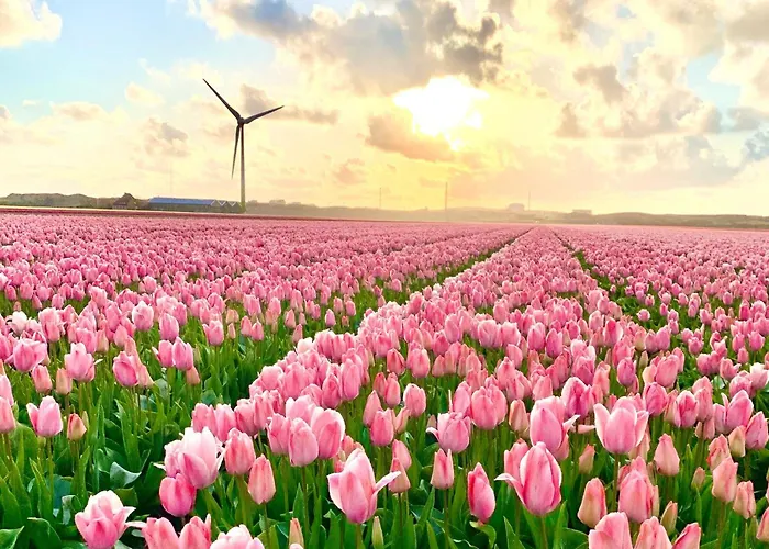 Tatil Evi Near Sint Maartenszee *