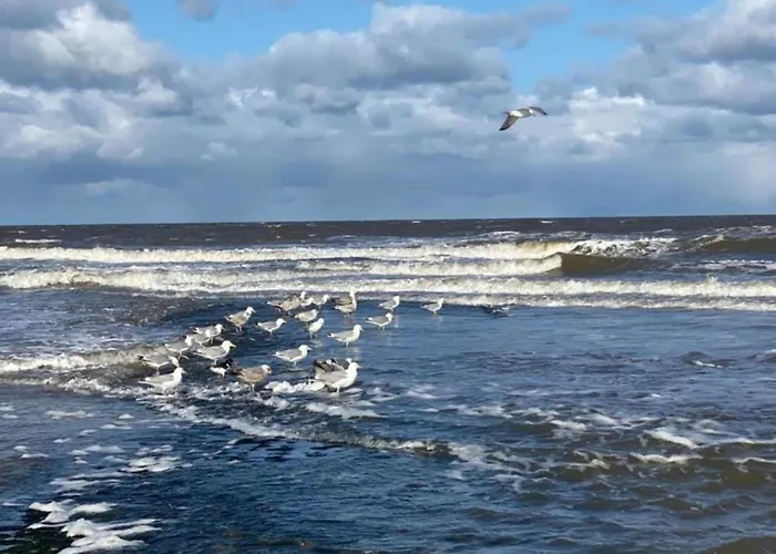 Tatil Evi Near Sint Maartenszee