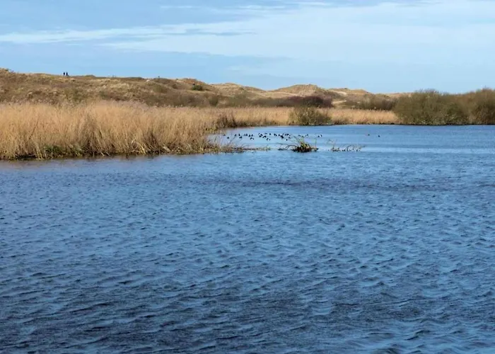 Near Sint Maartenszee *
