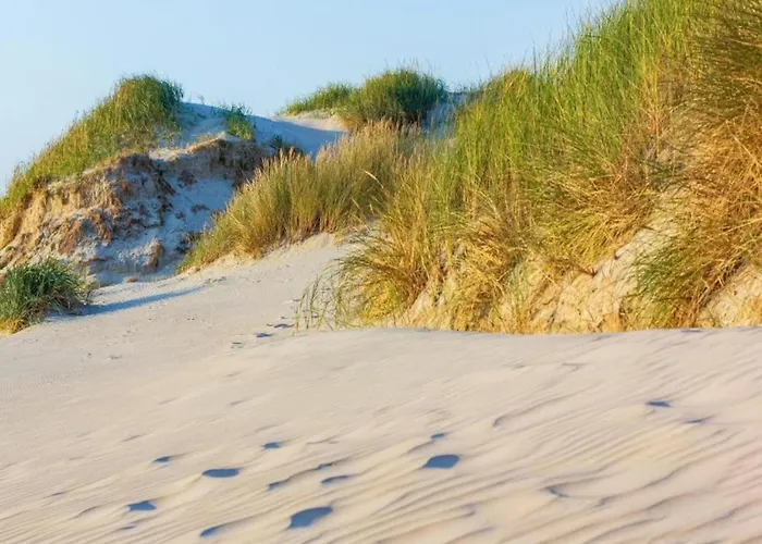 Near Sint Maartenszee *