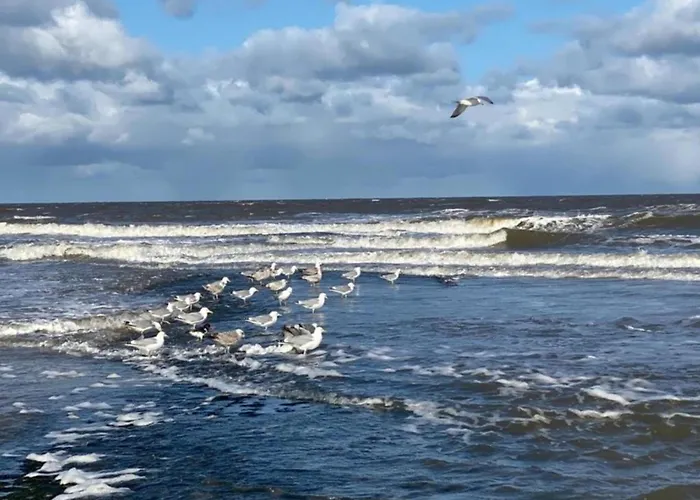 Tatil Evi Near Sint Maartenszee