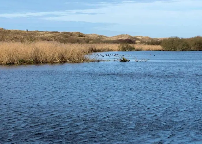Near Sint Maartenszee Sint Maartensvlotbrug