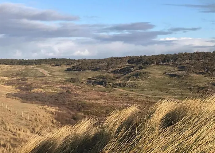 Tatil Evi Near Sint Maartenszee