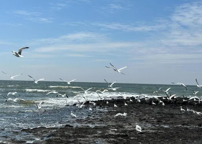 Tatil Evi Near Sint Maartenszee Sint Maartensvlotbrug