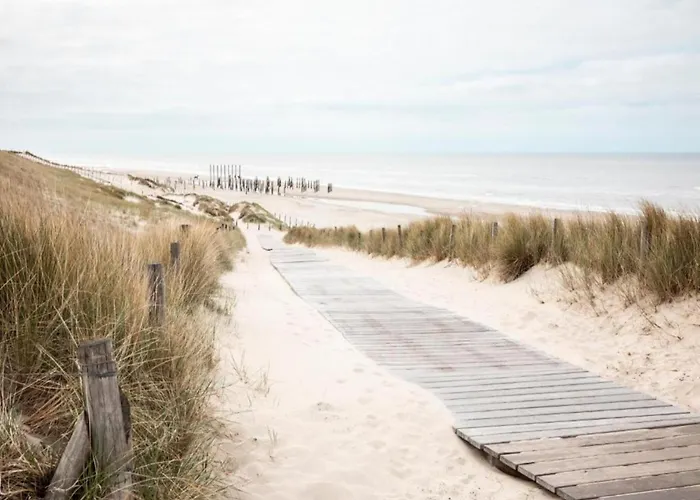 Near Sint Maartenszee *