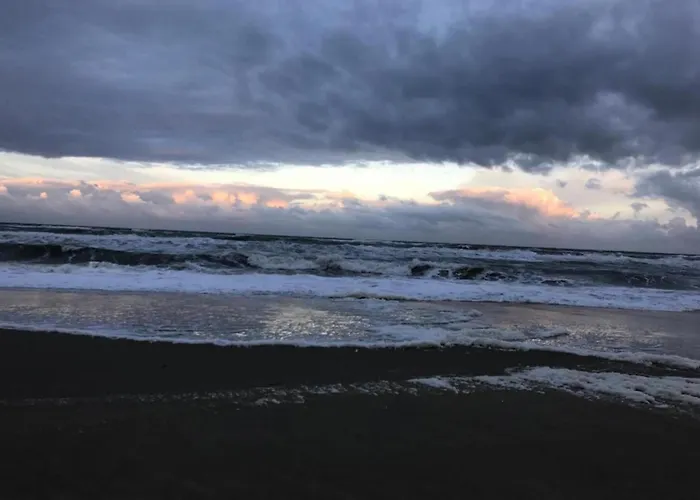 Near Sint Maartenszee Sint Maartensvlotbrug