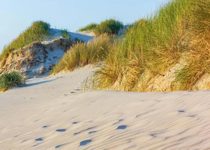 Near Sint Maartenszee * Sint Maartensvlotbrug